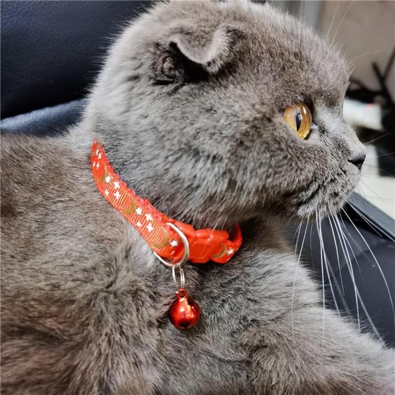 CCUUHJ Reflective Cat Collars Breakaway with Bell Moons Stars 2