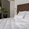 Fh Fam' Home Cosiness pillow set of 2 soft microfiber