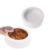 Tfwadmx 2 Pack Reptile Food Bowl, Mini Ceramic Water Feeder