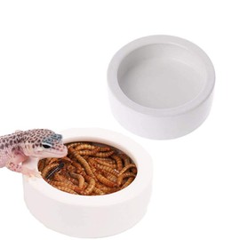 Tfwadmx 2 Pack Reptile Food Bowl, Mini Ceramic Water Feeder Bowl, Reptile Worm Feeding Dish for Lizard Turtle Bearded Dragon Anoles Crested Gecko Hermit Crab Leopard Gecko Chameleon Corn Snake