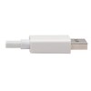 DisplayPort to HDMI Active Adapter 4K M/F White DP to