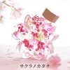 Flower Marika Cherry Blossom Herbarium Birthday Gift Sakura Katachi (Hizakura