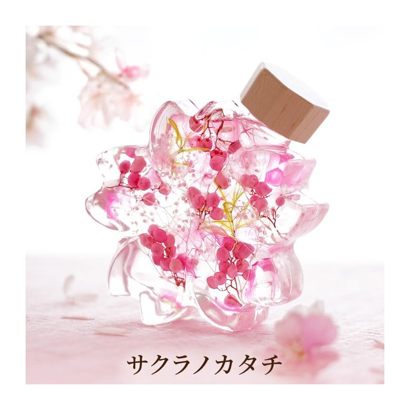Flower Marika Cherry Blossom Herbarium Birthday Gift Sakura Katachi (Hizakura