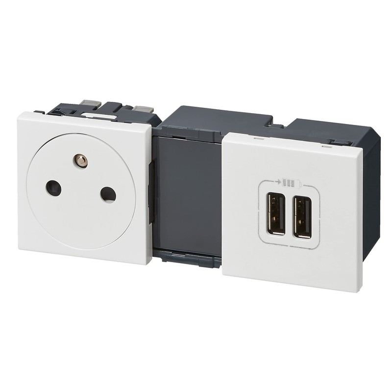 Legrand Mosaic leg99605 Power Outlet with 2 USB Charger, White