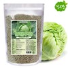 양배추환 300g 국산 정우당 Cabbage Pills 300g Domestic Jeongwodang