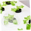 Levemolo 150Pcs Transparent Humidity Domes for Hydroponic Plants Protective Planter