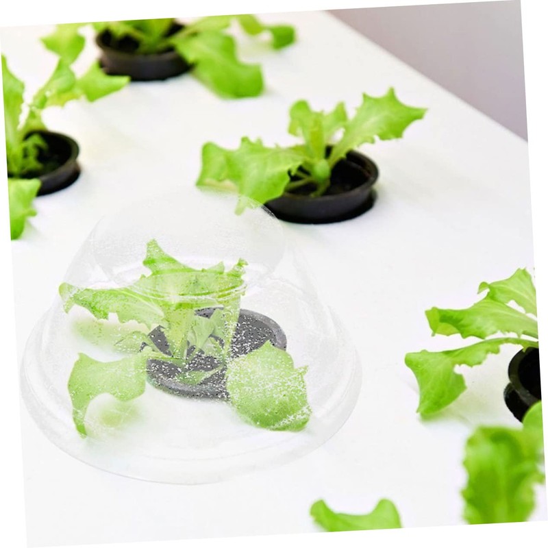 Levemolo 150Pcs Transparent Humidity Domes for Hydroponic Plants Protective Planter