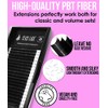 STACY LASH Extensiones de pestaas D Curl de Stacy LashPestaas