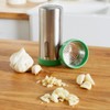 Casabella Garlic Shake 'n Press-Stainless/Green, 8x8x18 cm