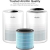 2 Pack Air Purifier AP070A & AP070B Replacement 13 HEPA