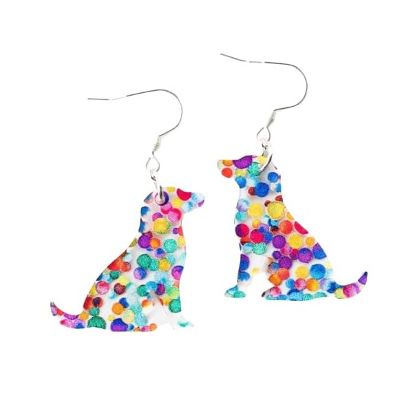 Cat Book Earrings for Women,Dog Dinosaur Animal Cartoon Acrylic Hypoallergenic