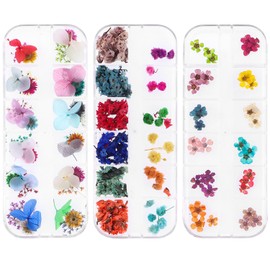 108PCS Dried Flowers for Nail Art - Lovely Natural Flower Nail Art, Nail Art Accessories Kits, Dried Flowers for Resin Molds, YWLI (Dried Flowers*3 boxes)