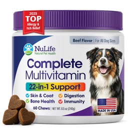 Dog Multivitamins Chewable Supplement - 22 in 1 Dog Vitamins for Itchy Skin & Coat, Immune System, Joints & Overall Health - Vitamins A, B, C, D, E, K & Antioxidants - 60 Chews - Beef Flavor