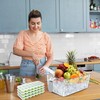 Aneco 2 Set Plastic Freezer Ice Bin with Flexible Scoop