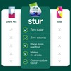 Stur Liquid Water Enhancer | Blue & Blackberry | Naturally