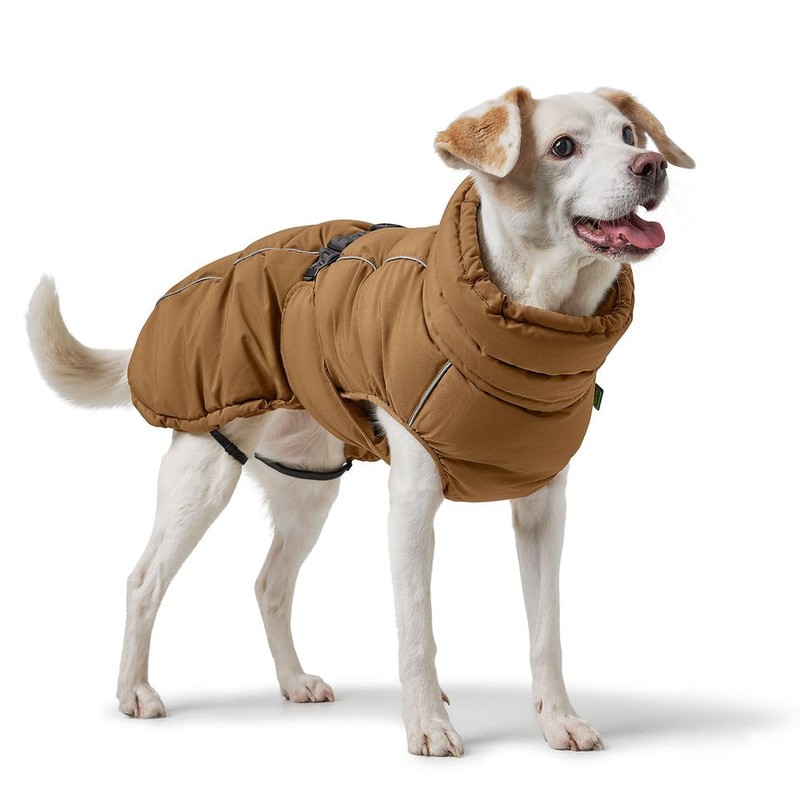 Paxson Dog Coat Caramel Size 30