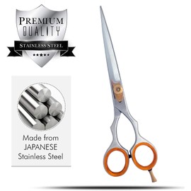 Professional Hairdressing Scissors, Japanese Stainless Steel Salon Scissors - 16.5 cm - Finely Adjustable Tension Screw - Premium Hair Cutting Scissors (Silver 6.5")
