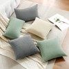 TOCOMOA Set of 2 Velvet Cushion Covers, 40 x 40