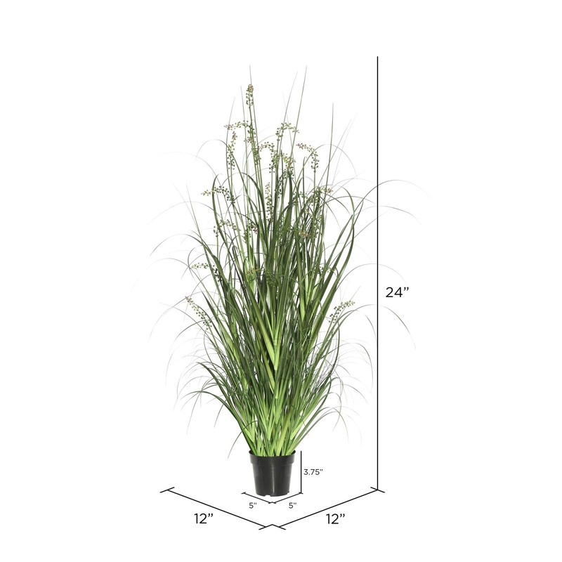 Vickerman TN171224 Everyday Grass Plant
