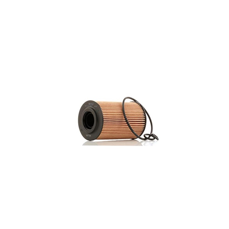 Meyle 1003220011 Oil Filter