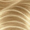 Clairol Frost & Tip Max Blonde Highlight