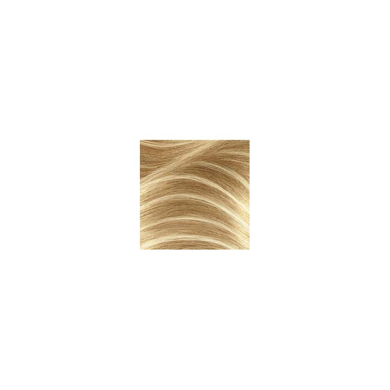 Clairol Frost & Tip Max Blonde Highlight