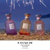 Coach Dreams Moonlight Eau de Parfum - 3.3 fl. oz.