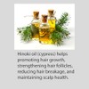Hayashi Hinoki Champú, 33.8 onzas líquidas