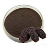 푸룬농축분말 100g 샘플 Prune Concentrate Powder 100g Sample