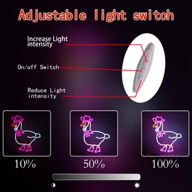 Cowboy Goose Neon Sign, Funny Duck LED Light Up Sign, Western Cowboy Hat Dimmable USB-Powered Neon Sign for Bedroom, Birthday Gift, Party, Bar, Game Room, Home, Café, and Wall Décor