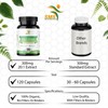 Smshealthproducts Holy Basil 20:1 Extract 2.5% Ursolic Acid Organic 120