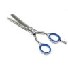 Professional Razor Cut & Thinner Hair Shears 6" 2- in
