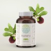 HerbEra Bayberry 60/120 Capsules, 500 mg, Organic (Myrica Cerifera) -