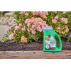 Miracle-Gro Shake 'N Feed Rose & Bloom Plant Food, Plant