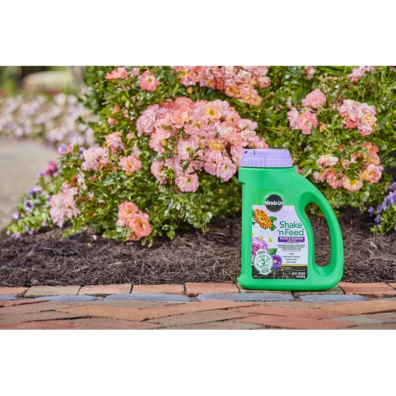 Miracle-Gro Shake 'N Feed Rose & Bloom Plant Food, Plant