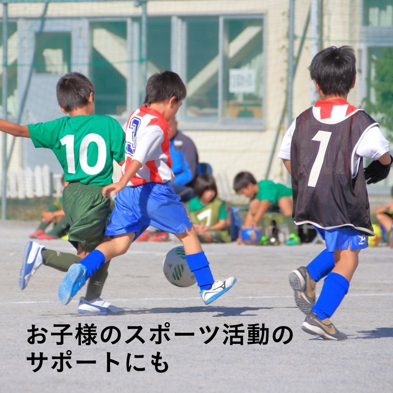 ファイン クエン酸 ビタミンB ビタミンC配合 国内生産 粉末 お徳用 50日分 (1日5g/250g入)×2個セット