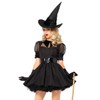 Leg Avenue Bewitching Witch Costume (M, Black)