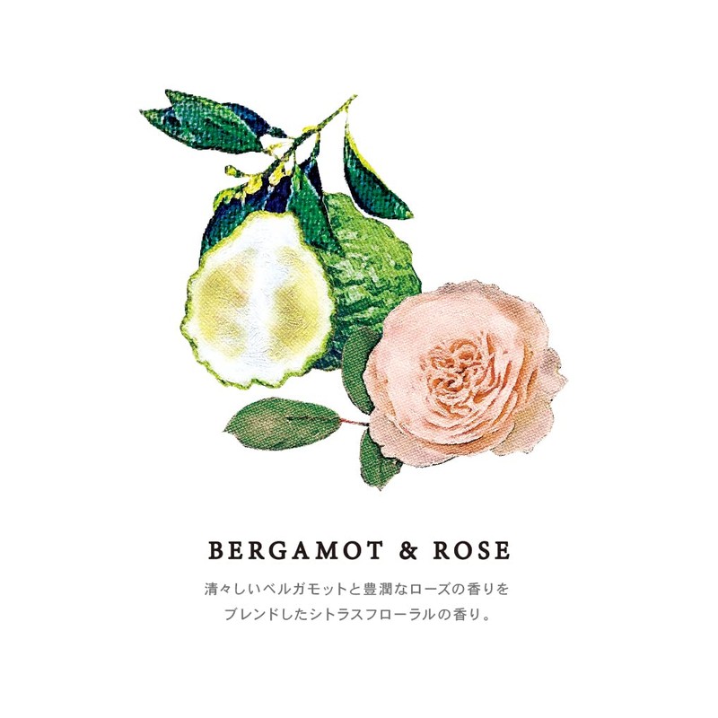 HP Pocket Air Refresher Bergamot & Rose