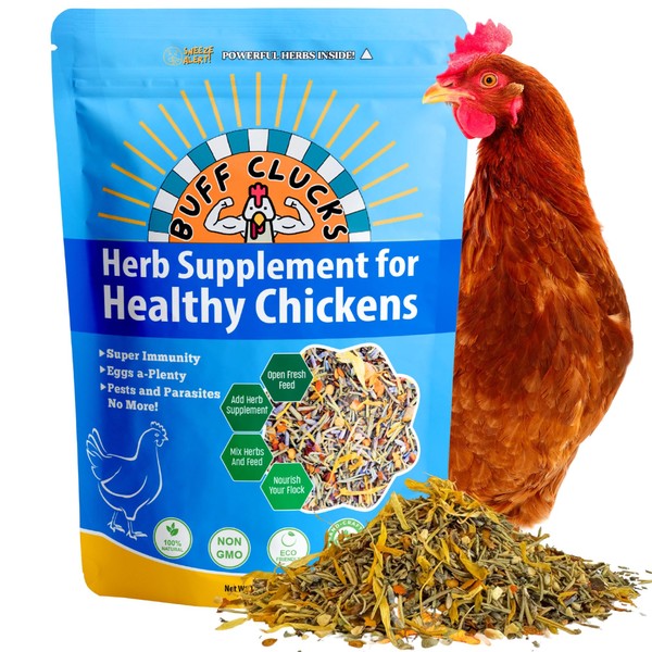 Buff Clucks Herb Supplement for Backyard Chickens - Natural Chicken