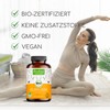 Raibu® Organic Turmeric Capsules, 180 Capsules, High Dosage with 3,000