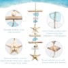 Coastal Starfish and Seashell Wall Decor with Driftwood