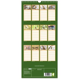 Familienplaner 2026 - Zauberhafte Rotkehlchen mit 5 Spalten (Wandkalender, 21 cm x 45 cm), CALVENDO: Mit den süßen Knutschkugeln durchs Jahr (CALVENDO Tiere)