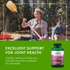 Swanson Sea Cucumber - Natural Supplement Promoting Joint Health &