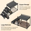 Saudism Pet Bunk Bed with Removable Stairs and 2 Drawers,