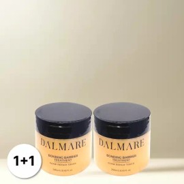 Dalme [1+1] 달메어 트리트먼트 헤어팩 플로럴머스크향 250ml 2개 [1+1] Dalmeer Treatment Hair Pack Floral Musk Scent 250ml 2pcs