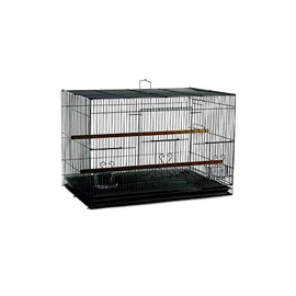 A&E Cage Co. 30"x18" Flight in Color Retail Box (single pack)