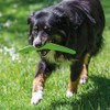 LMS Trading Dog Boomerang Made of Soft Green Highly Visible