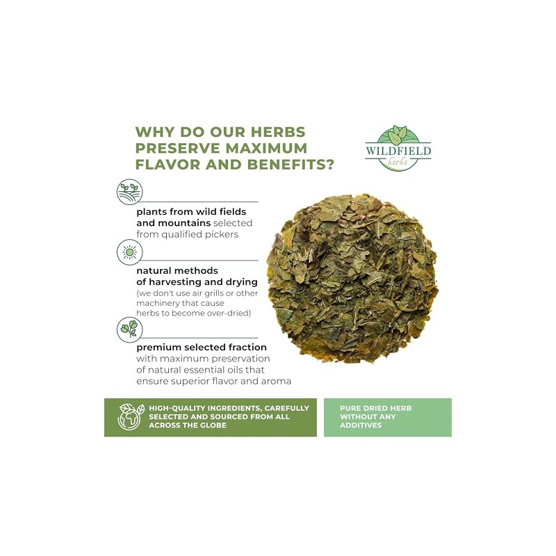 50 White Mulberry Tea Mulberry Leaf Herbal Tea (Morus alba)