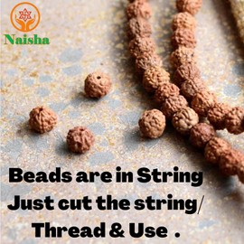 Naisha Natural Rudraksh 121 Piece Loose RUDRAKSHA Beads Mala, Genuine Himalayan Meditation Prayer Beads, Bodhi Beads 8-14mm Beads Jewelry Making, DIY Big Lot 3 Different Size Beads