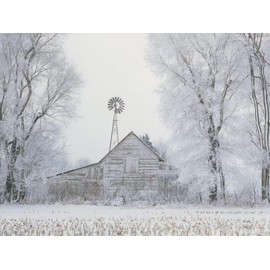 KAYEIUU Diamond Painting Snow Tree Fog Rural Country Barn Winter Kit for Adults Full Drill Diamond Art Painting by Number Kits Gem Art Wall Home Decor 12x16in